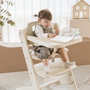 Giới thiệu về ghế ăn dặm Dono